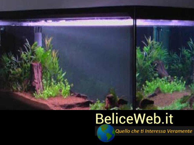 Come Trasformare una Vecchia TV in un Acquario